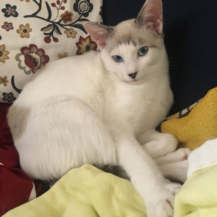 17f67f3c f0e3 402e b3c0 1bbf3dacb874 1538550215951