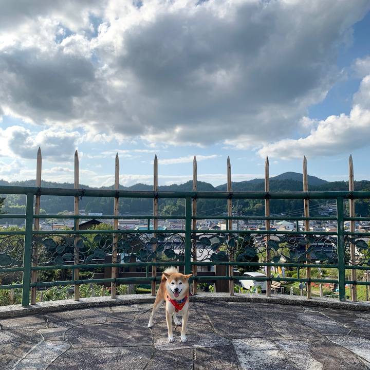 17f68208 102b 4b46 a33a 9f2669e6f849 1601885598694