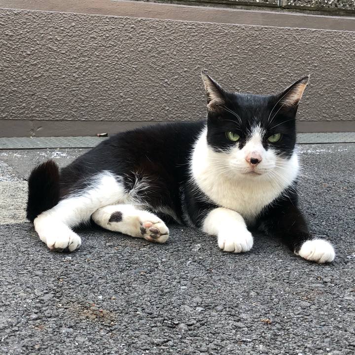 17f6ac3d c013 4321 bf49 10035ea78c37 1620577081578