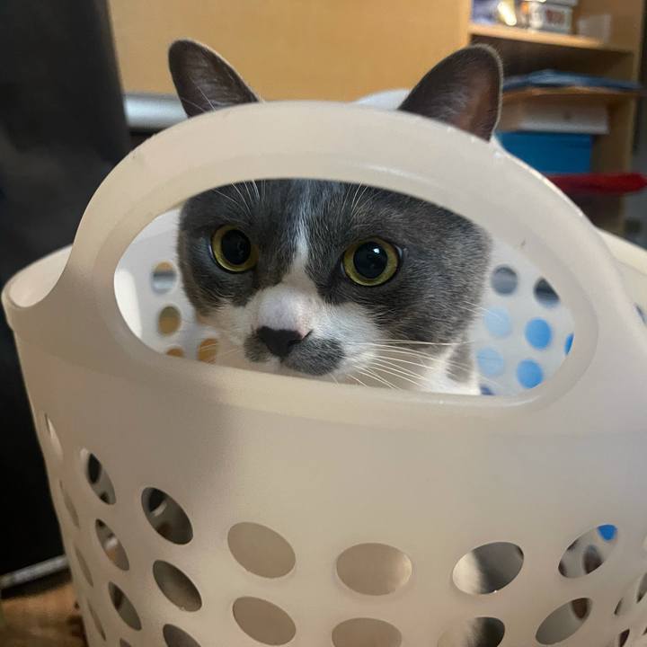 17f6afbc e5e6 4f85 ad4b e510f7222801 1624676430754