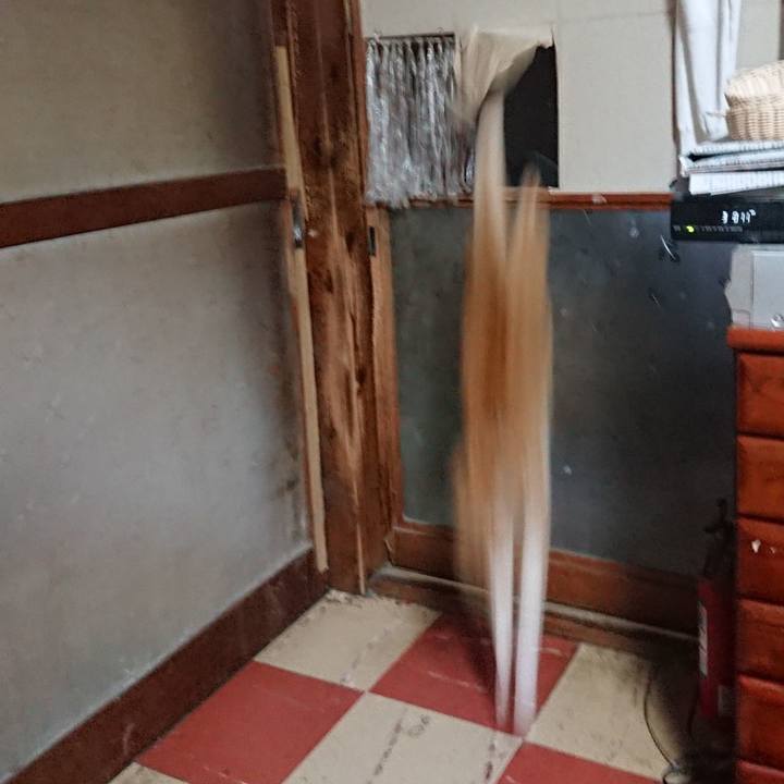 17f6d918 794d 4325 ba56 de14f88fc75b 1574459167884