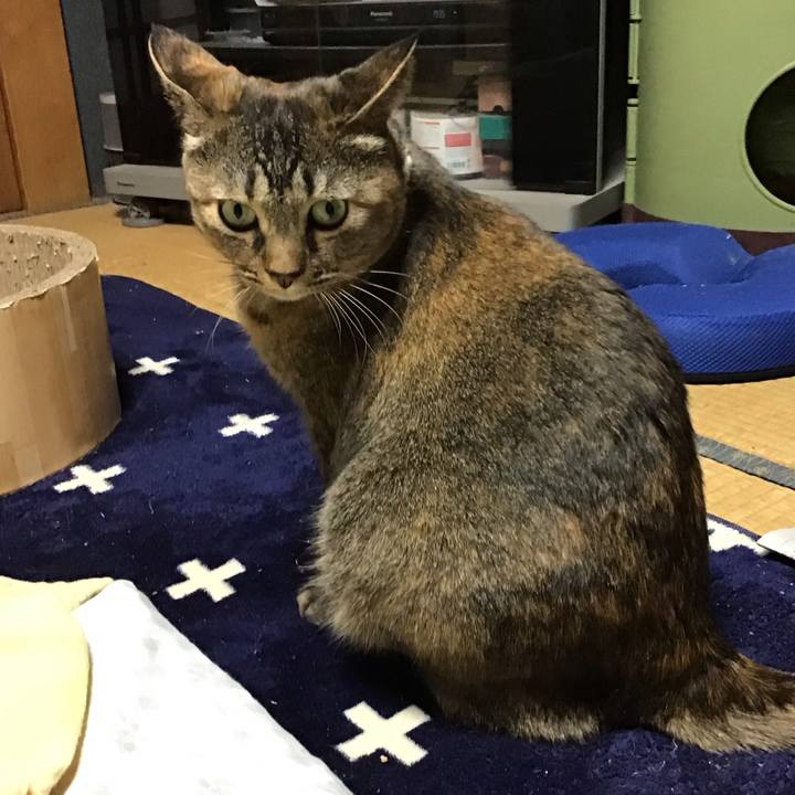 17f6e895 fb6e 4e0f a893 deadcdfa3a97 1737801616245