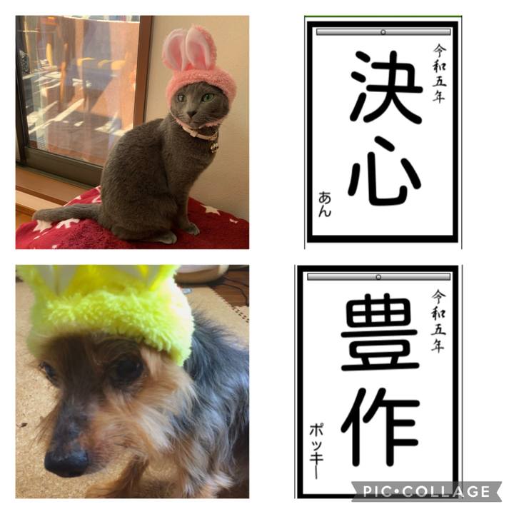 17f6ec23 07c3 4986 ad4a 04451512126a 1672737726317