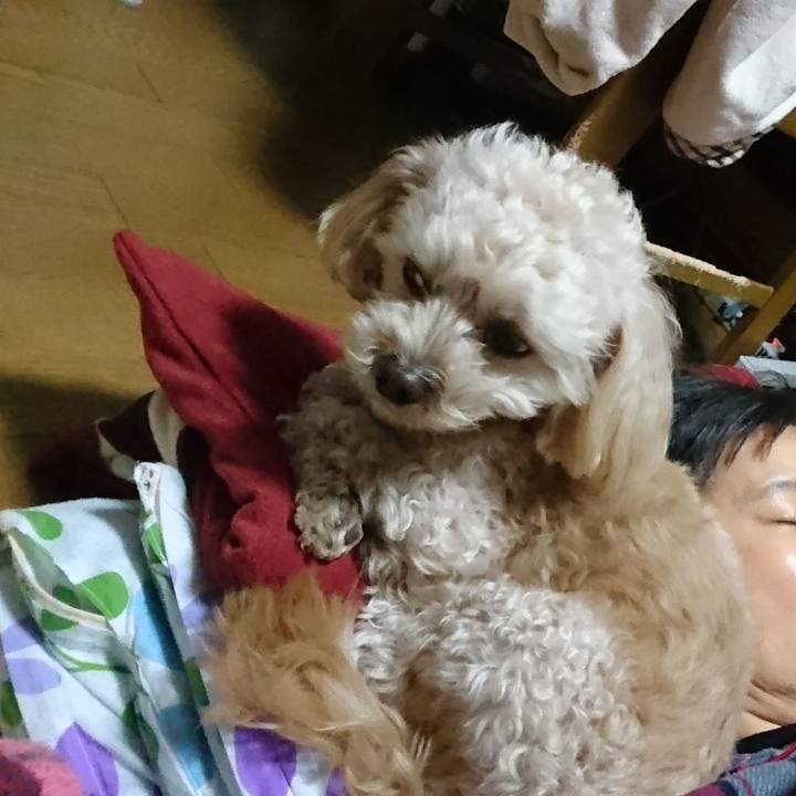 17f71fe6 43bc 47c4 a348 3196d4a6cc75 1546488904200