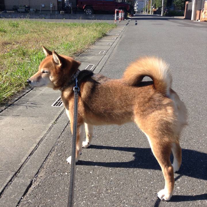 17f73e4f b89b 4723 bea6 36df2623a5e4 1509336658286