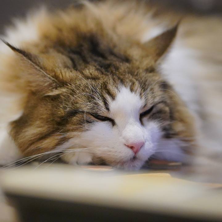 17f751cc 353e 4eac aac8 5092a6baac80 1691498384354