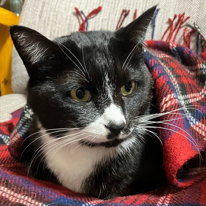 17f76358 3590 4fe7 800e 8b45f7cf0d75 1770350205034