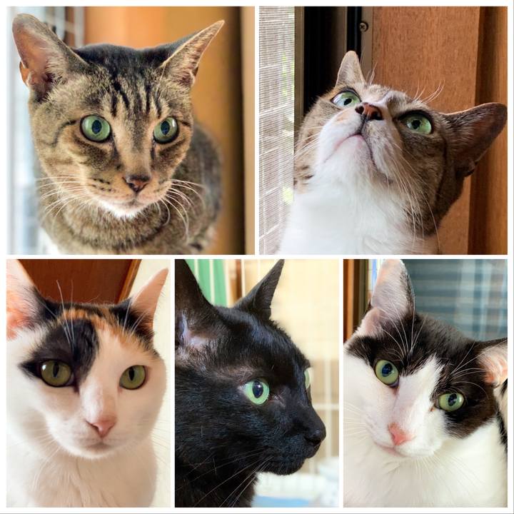 17f7a7b2 eb8c 4889 904b 637989642ddb 1594255729309