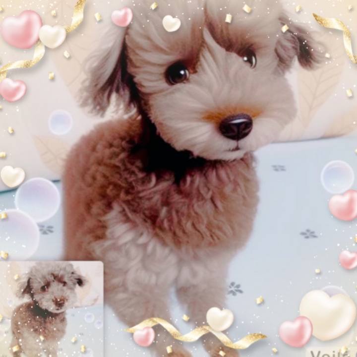 17f81466 9838 4d1e 8432 6e4b7d2e0391 1674639587572