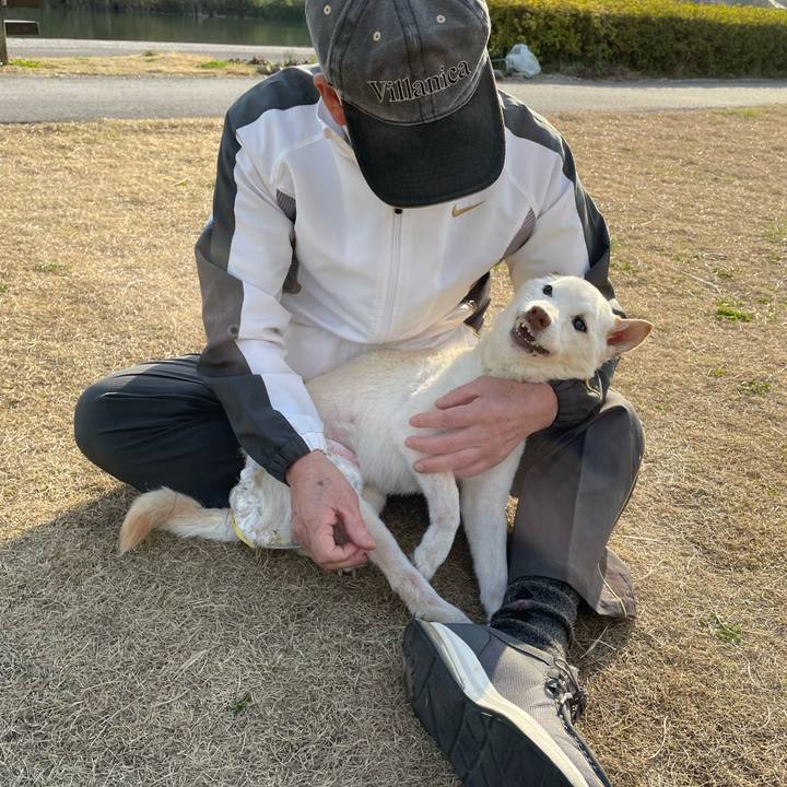 17f817dc dd3b 45b2 95a1 25ab98dad218 1678100809921