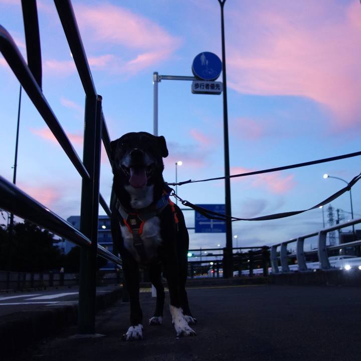 17f824bf b0af 4487 8401 87d9eaa5b564 1752836641500