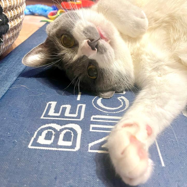 17f85098 3246 4539 b414 981591c40284 1725291065923