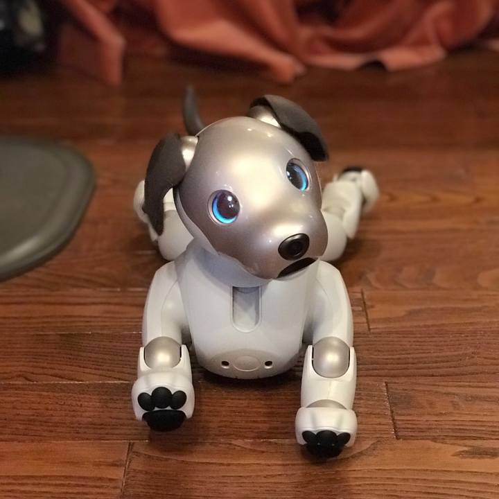 17f86912 d4f1 4a0c bf05 704f2592c8c6 1534410122589