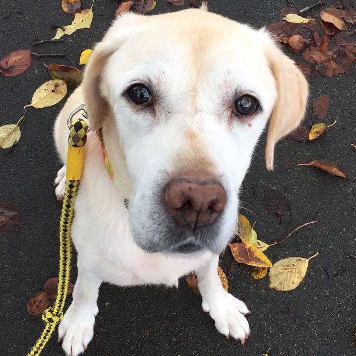 17f87d6d 33bd 4c33 a269 05bc9eea73b9 1570448573395