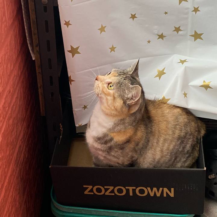 17f89aa8 8d6f 489d ab19 de1351339c0b 1620876593398