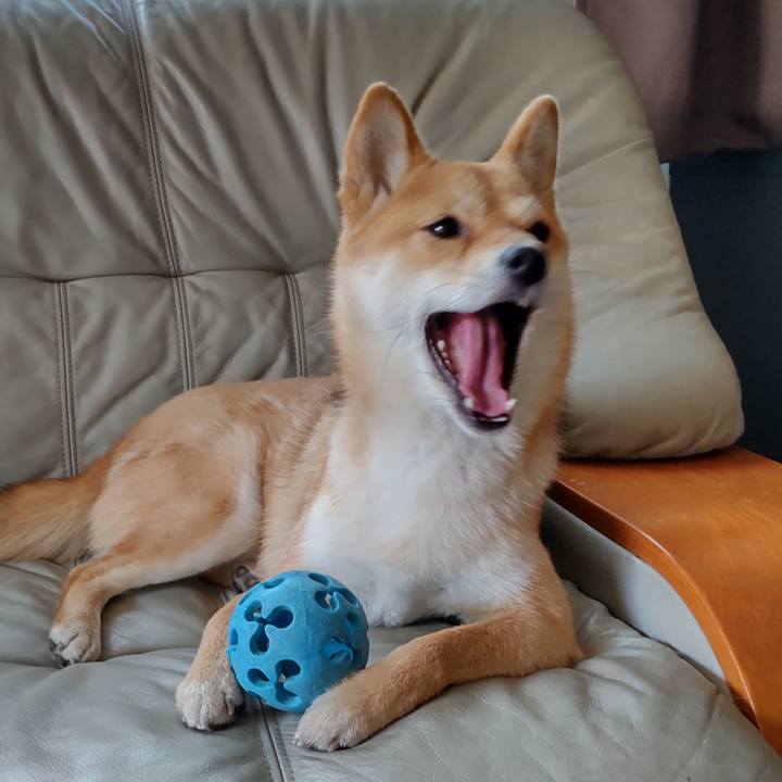 17f8c08b 9d77 48d6 8b58 19617d766c5c 1646734417588