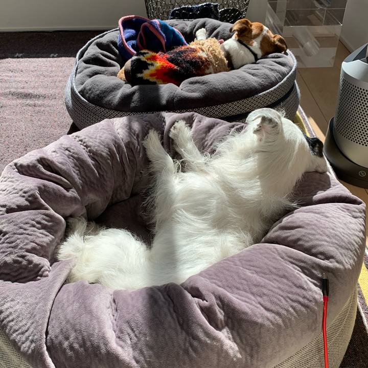 17f8f80d 2e87 451e 9526 25ce64c87b69 1611977390912