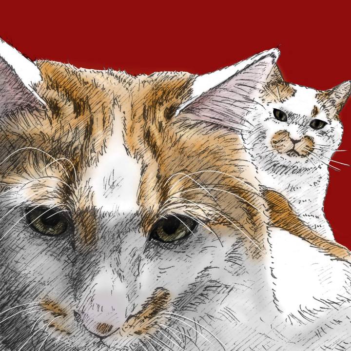 17f912da b75f 4341 8f01 d7908211b32e 1568986802285