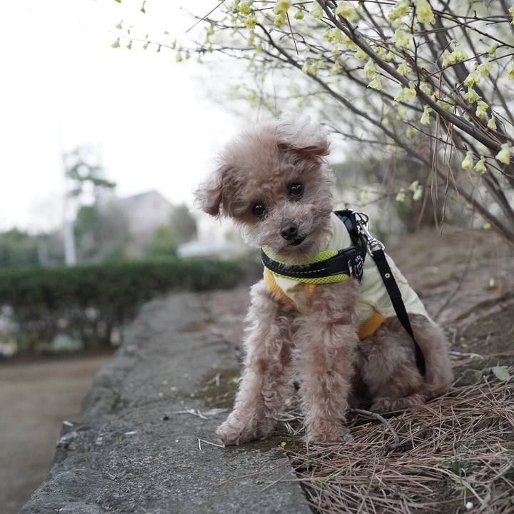 17f91a5f a431 44d4 8798 678b72e52bd5 1697114809348