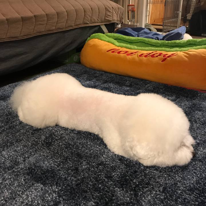 17f92a3d 1dc6 4504 b6e4 6f26923fe3b0 1543050158877