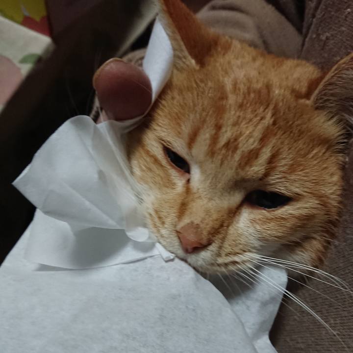 17f93fd5 f2c6 481a 8cc6 1a1d7d6dde2e 1579035368514