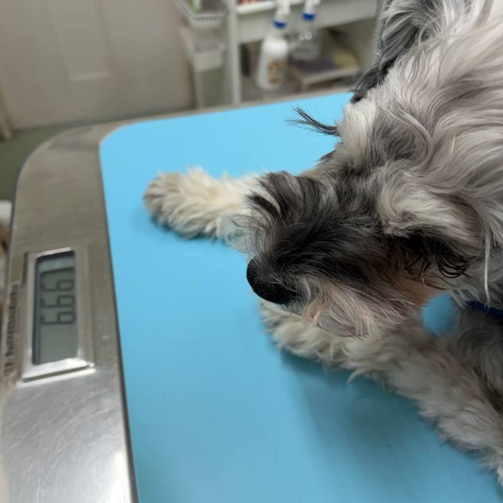 17f94276 2a89 4aa6 a010 43b932a29dd2 1769322559292