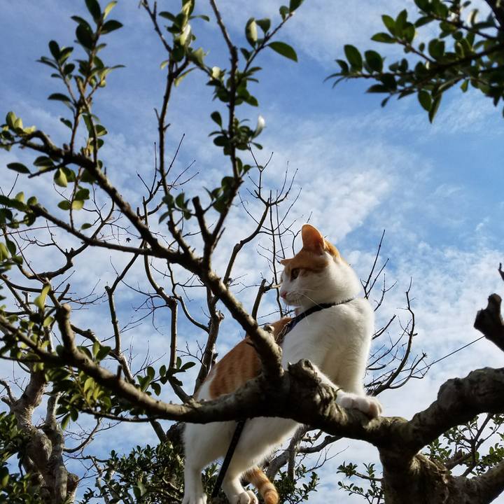 17f991d4 cbdd 4b23 ae85 2c36be62bb97 1511689600064