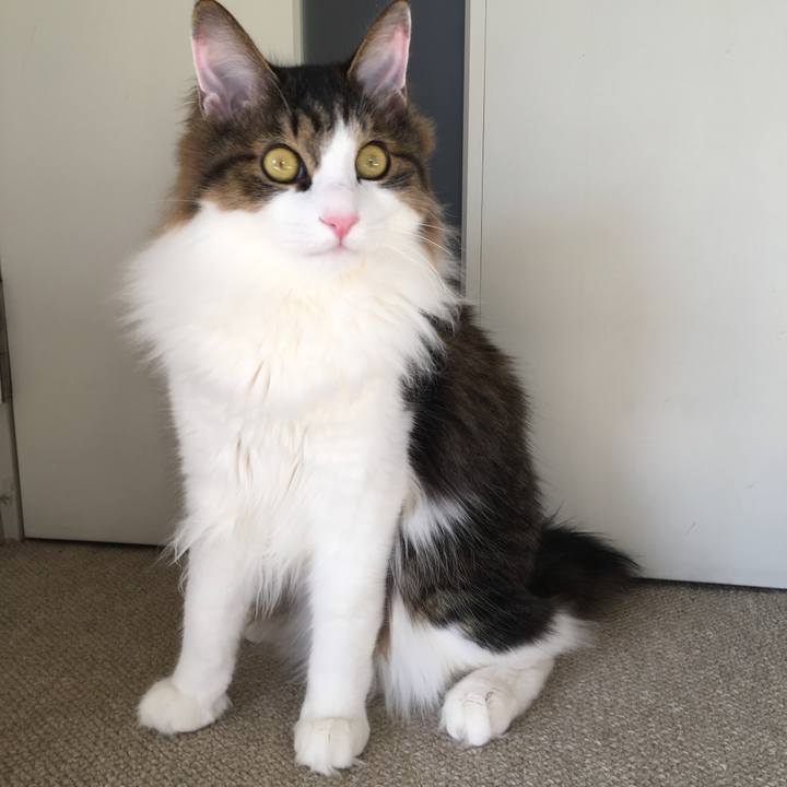 17f994aa 19e9 4403 9ca8 8957b85088cc 1514421173649