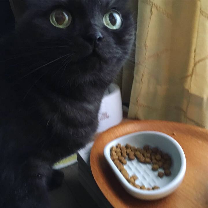 17f9bcf9 1af6 4e42 a2fa 5f4d5d9d868f 1538002025872