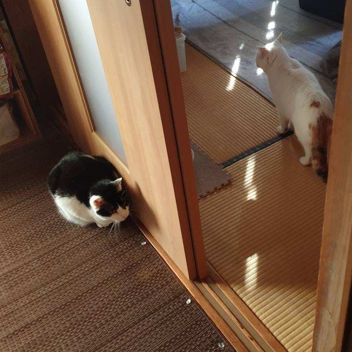 17f9bdea 58eb 47c9 97e9 e21288a27fc0 1765068667160