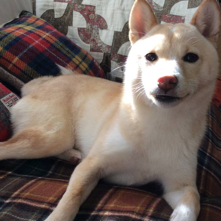 17f9c0e0 4a28 443e bdeb 531bbd0577d9 1512443878312