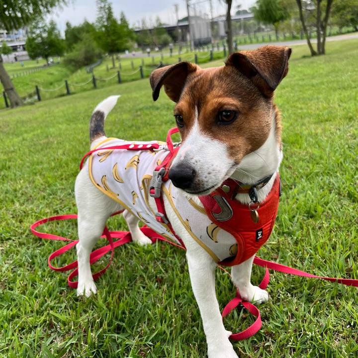 17f9ebff 684b 4478 86b1 8f7b6d47099b 1714219028115