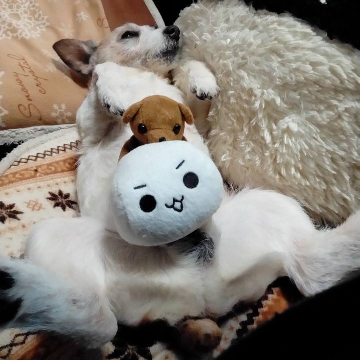 17fa3967 d465 44ff a039 aa3660765c3f 1580901373478