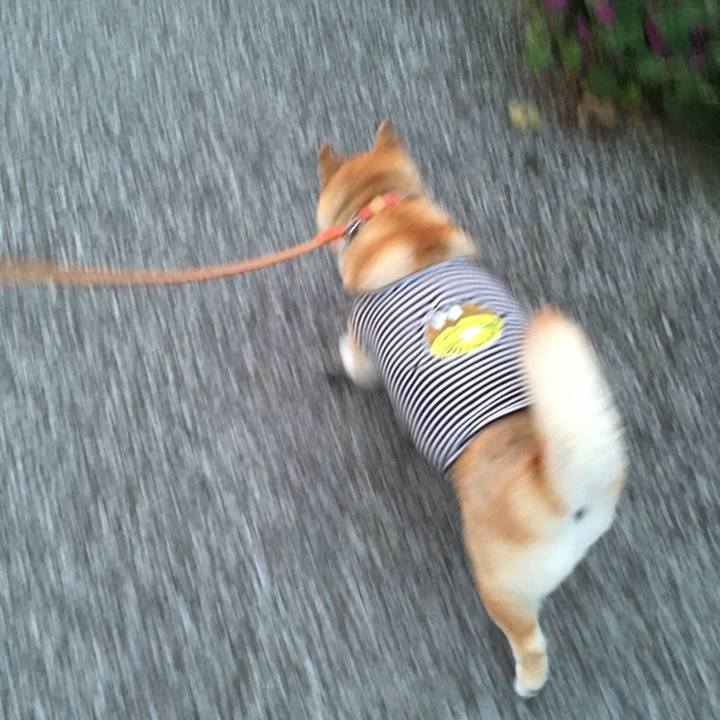 17fa5767 7d90 4ff7 99c9 0461acf6a581 1558521084340