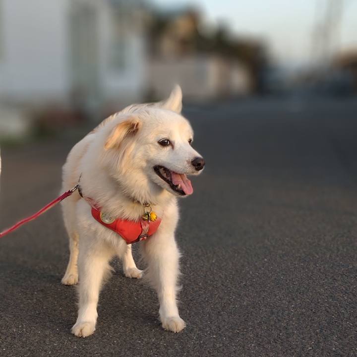 17fa57fc 6ba2 440d a6e1 686fcd6eae5c 1647422644838