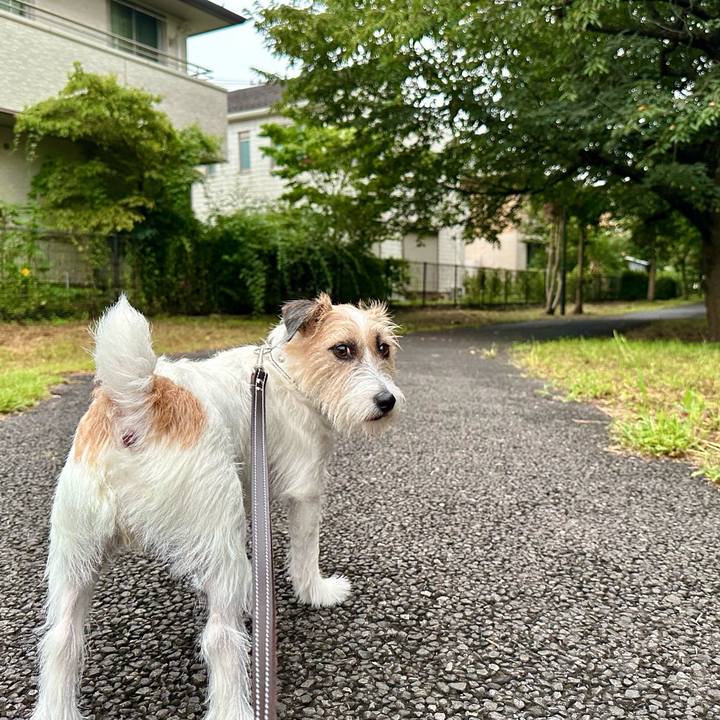 17fa832f 7088 445e 9d94 0148f85ce629 1724291811200