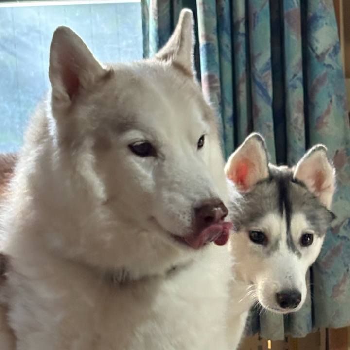 17fab687 3cff 4ff1 b900 8a3992b77d2c 1765089666316