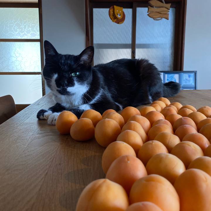 17fb11eb 57c9 4e54 8e68 82b413e1270e 1751943718110