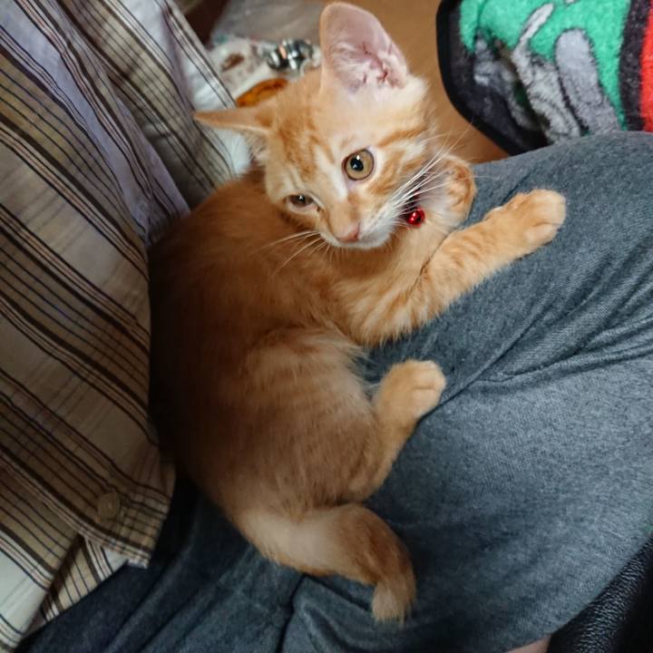 17fb1c30 542f 4a3d ad48 731c7052c693 1631480262661