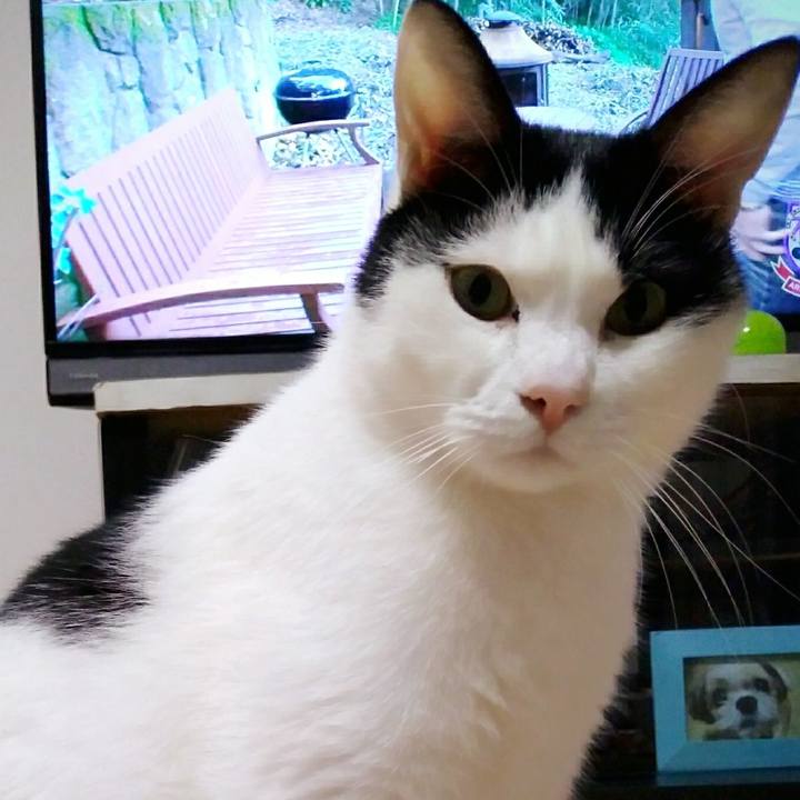 17fb1def 5f5b 4ac4 a3a9 c18c1a96e082 1550489528483