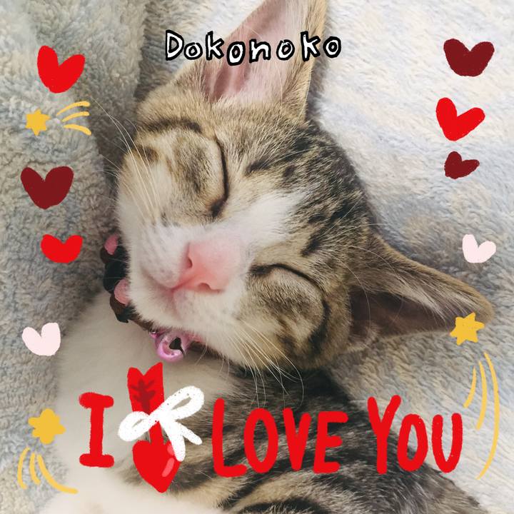 17fb32cb 6d3c 4c3e bffe 534d6dc78a7b 1706803482059