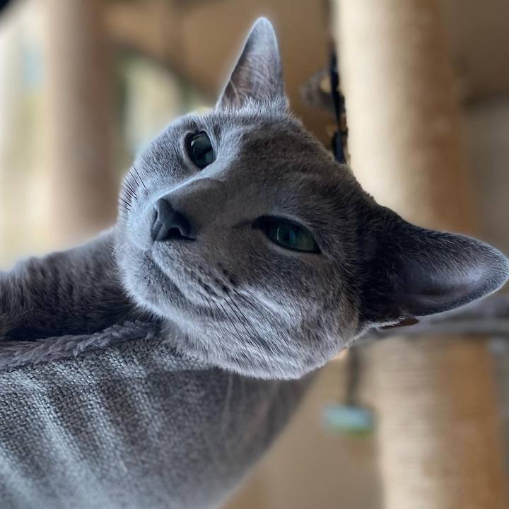 17fb3bf7 db6c 4b61 9222 275ba0f726f6 1642218868233