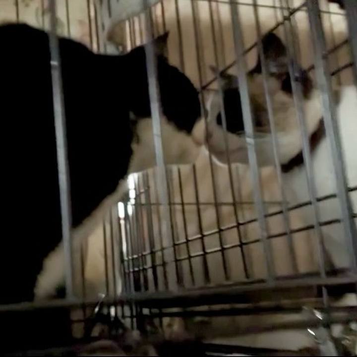 17fb5c05 6f90 483f 87aa bb3669e674da 1746264845589