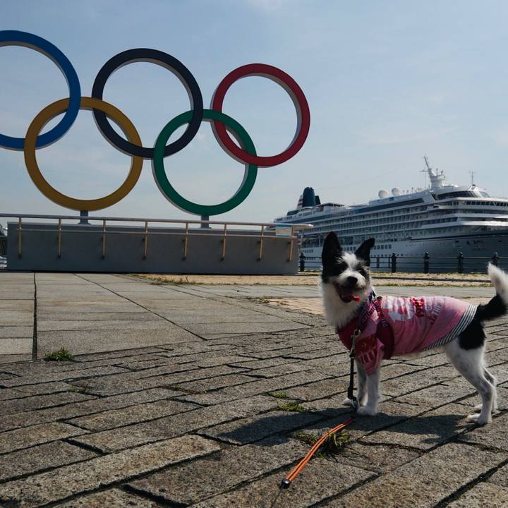 17fb5e4b 078c 4ef9 9232 19343cb925b8 1626095984627