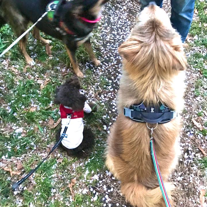 17fb6887 0695 4f01 be1c e1496193efff 1649158835624