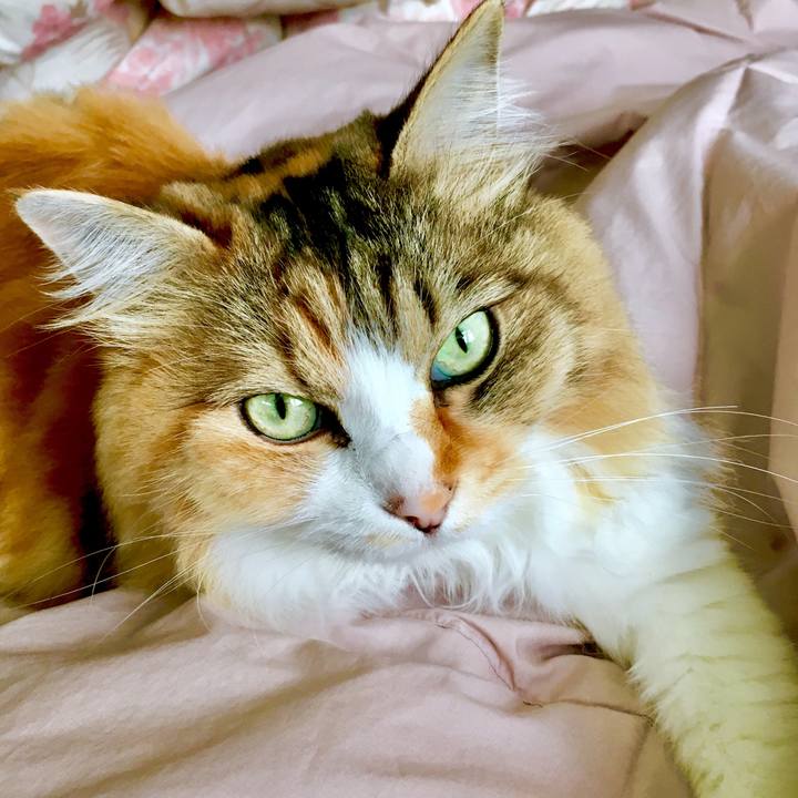 17fb6a56 c90c 4b15 9e19 da134b46fedd 1561604242607