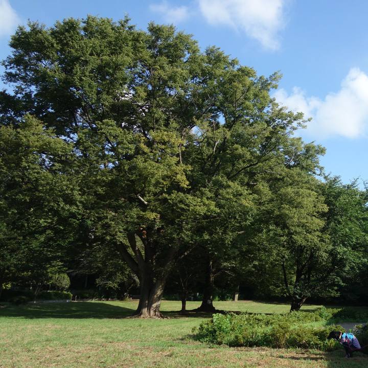 17fb84ab 55b9 477f 8ba9 d1ef79da339b 1628209801887