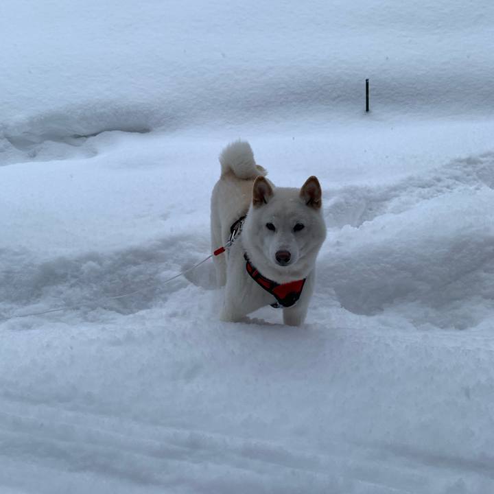 17fb8d1a f3ab 4b2f b111 9f7d89989157 1609112866425