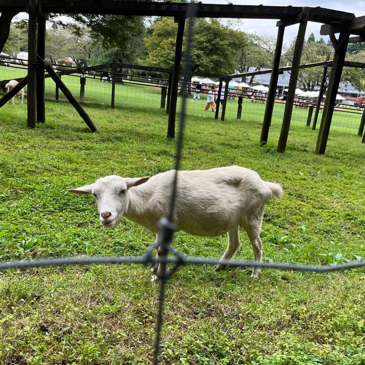 17fbb5c0 688c 4f11 888a dd8105dff408 1726607064806