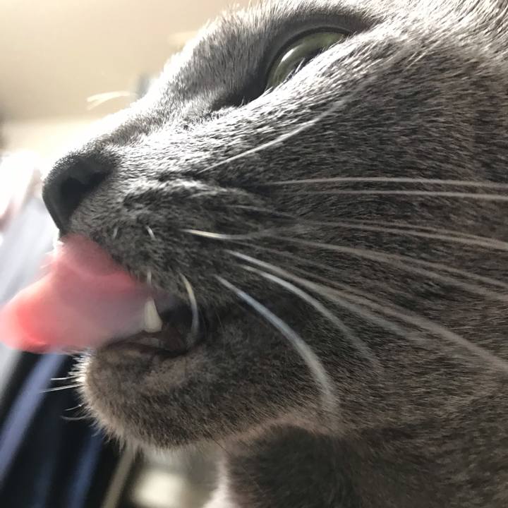 17fbe706 90f2 4a81 a142 affcbae63432 1556968790461